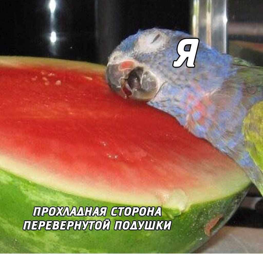 ПРОХЛАДНАЯ СТОРОНА ПЕРЕВЕРНУТОЙ ПОДУШКИ