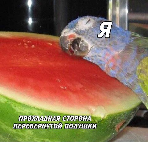 ПРОХЛАДНАЯ СТОРОНА ПЕРЕВЕРНУТОЙ ПОДУШКИ