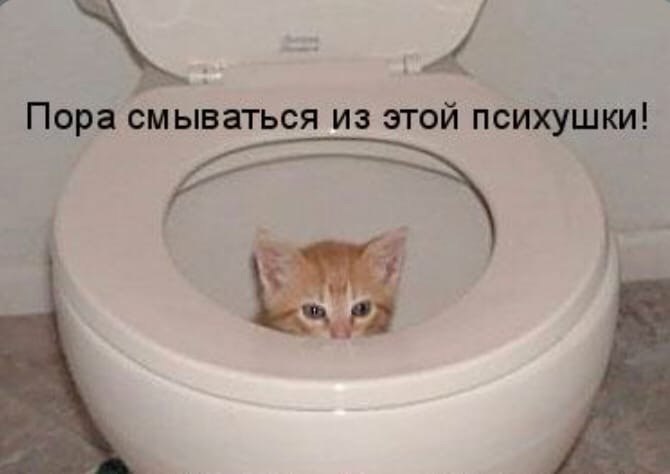 4 Пора смываться из этой психушки!