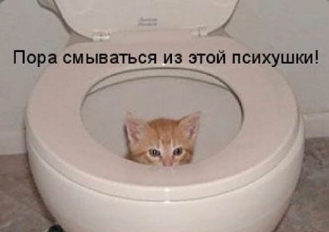 4 Пора смываться из этой психушки!
