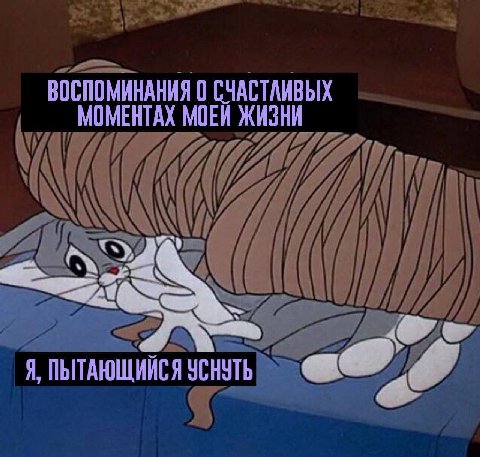 ВОСПОМИНАНИЯ 0 СЧАСТАИВЫХ МОМЕНТАХ МОЕЙ ЖИЗНИ Я, ПЫТАЮЩИЙСЯ УСНУТЬ