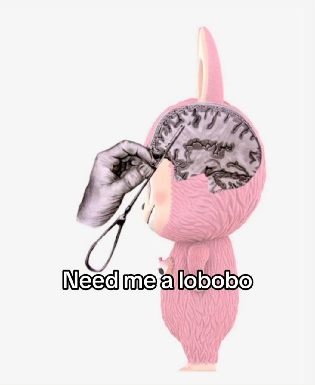 2 Need bobo AYA