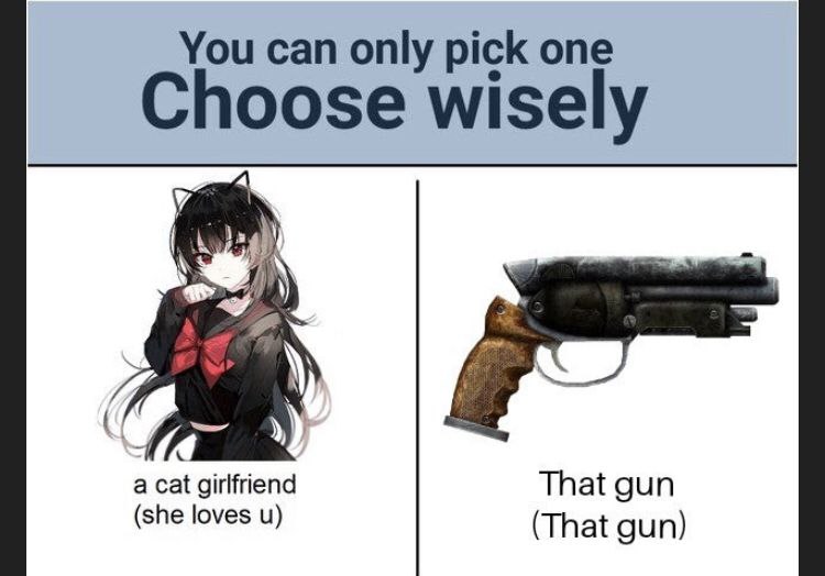 You can only pick one Choose wisely у 4 а cat girlfriend That gun (she loves (That gun)