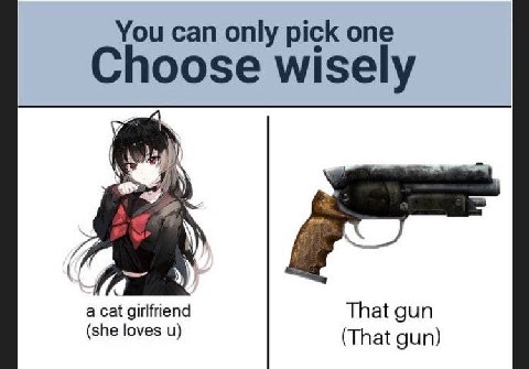 You can only pick one Choose wisely у 4 а cat girlfriend That gun (she loves (That gun)