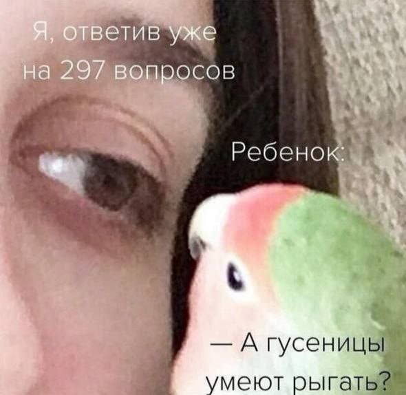 ответив уже на 29/ вопросов Агусен меют рып