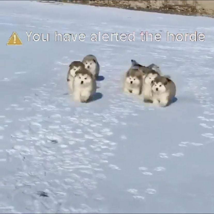 1 You have alerted the horde 7 at 7