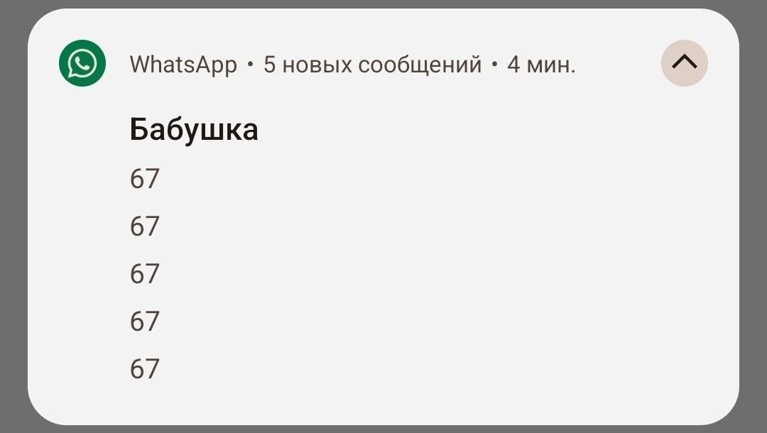 WhatsApp 5 новых сообщений 4 мин. Бабушка 67 67 67 67 67