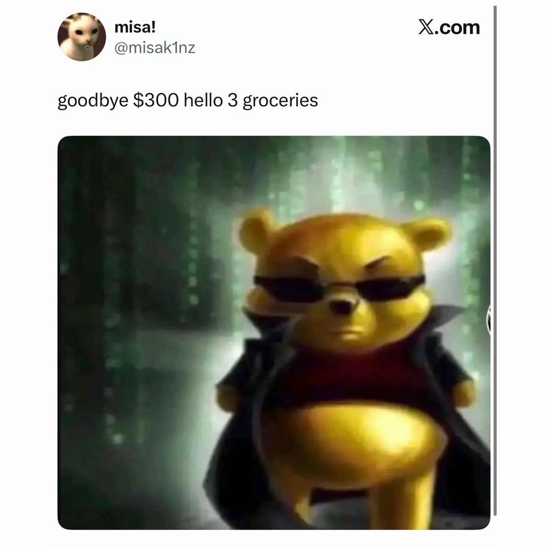 misa! X.com @misakinz goodbye $300 hello 3 groceries 4