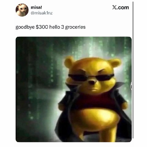 misa! X.com @misakinz goodbye $300 hello 3 groceries 4
