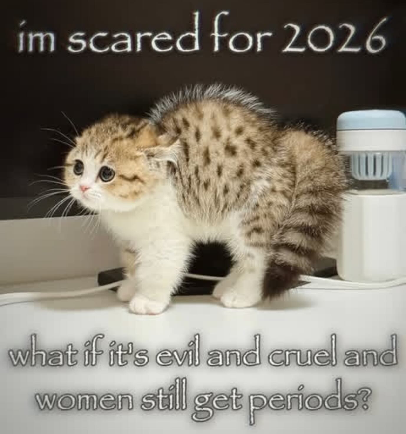 tor 2026 evil ane! wemen periods?