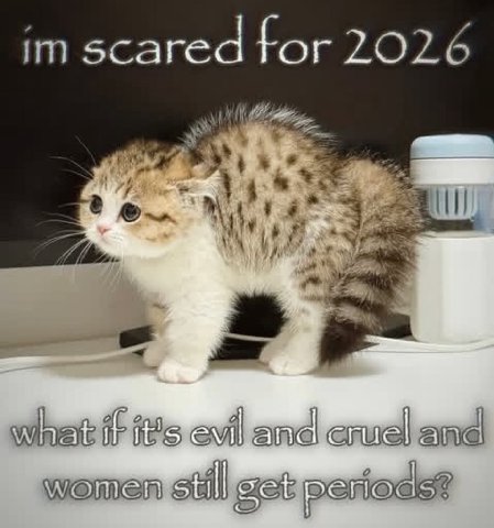 tor 2026 evil ane! wemen periods?
