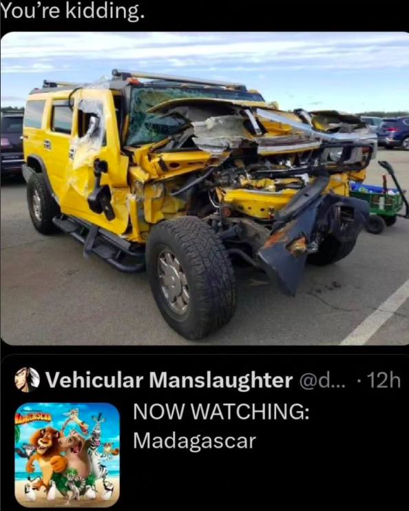 You're kidding Vehicular Manslaughter NOW WATCHING Madagascar