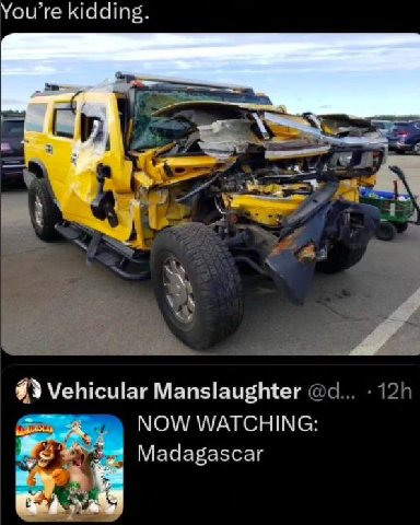 You're kidding Vehicular Manslaughter NOW WATCHING Madagascar