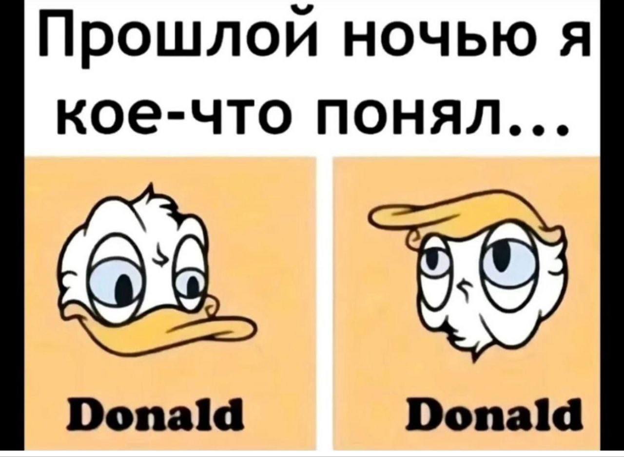 Прошлой ночью я кое-что понял... Donald Donald