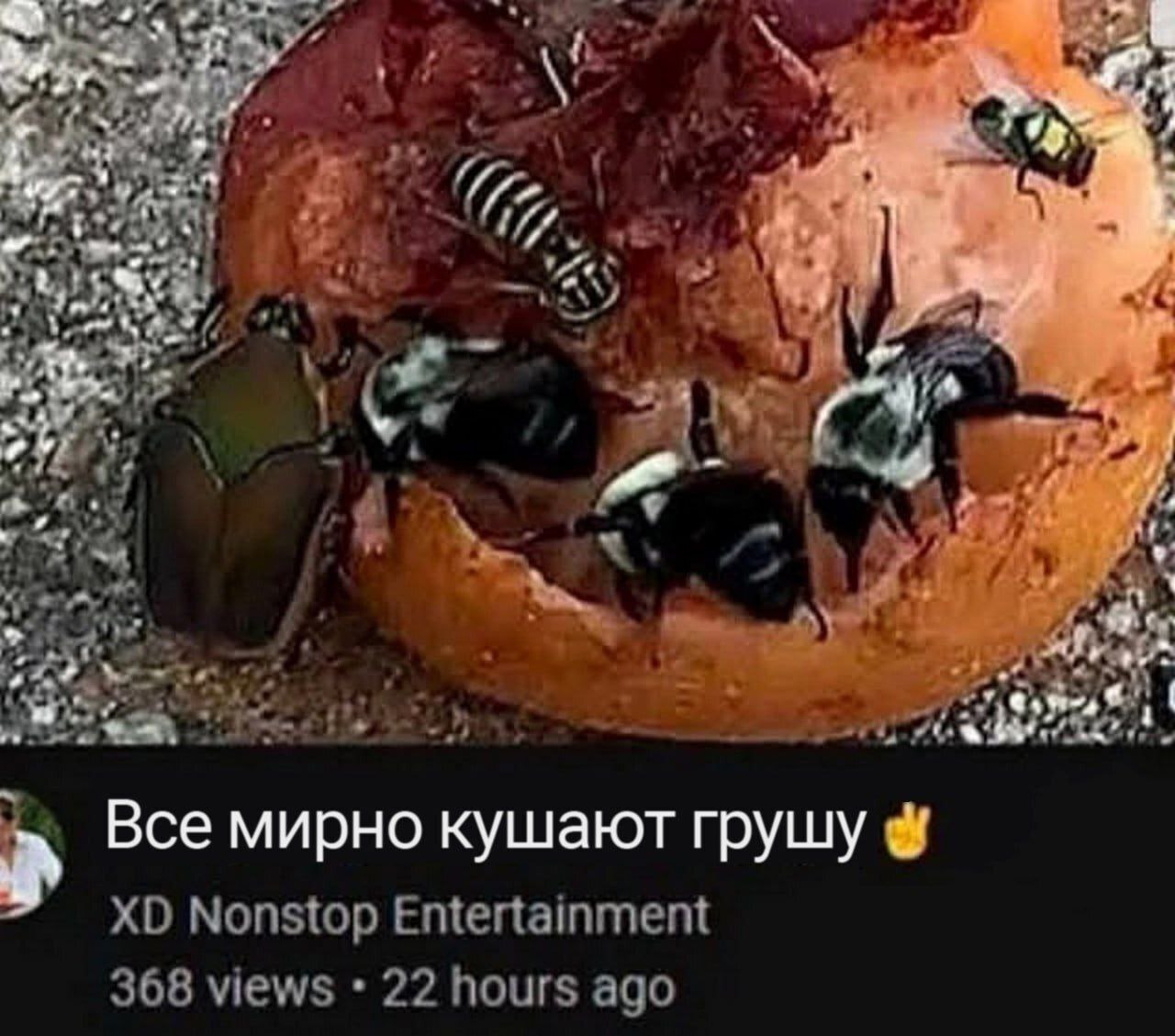 „2% к 2 Все мирно кушают грушу Nonstop Entertainment 368 views 22 hours ago
