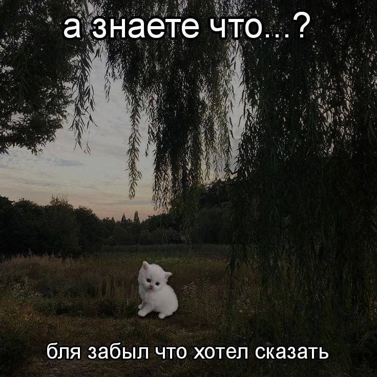 а знаете что...? бля забыл что хотел сказать