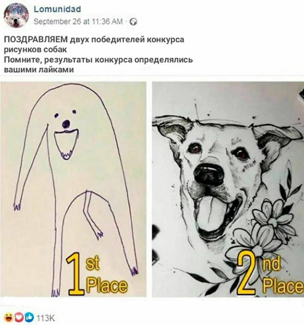 Lomunidad September at 1 ПОЗДРАВЛЯЕМ двух победителей конкурса рисунков собак Помните, результаты конкурса определялись вашими лаиками ind lace 600