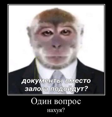доку Сто зало Один вопрос нахуя?
