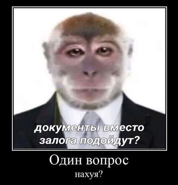 доку Сто зало Один вопрос нахуя?