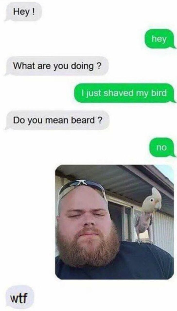 Неу! What are you doing just shaved my bird you mean beard a 1 hal wtf