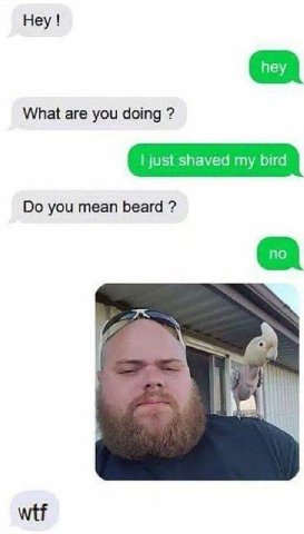 Неу! What are you doing just shaved my bird you mean beard a 1 hal wtf