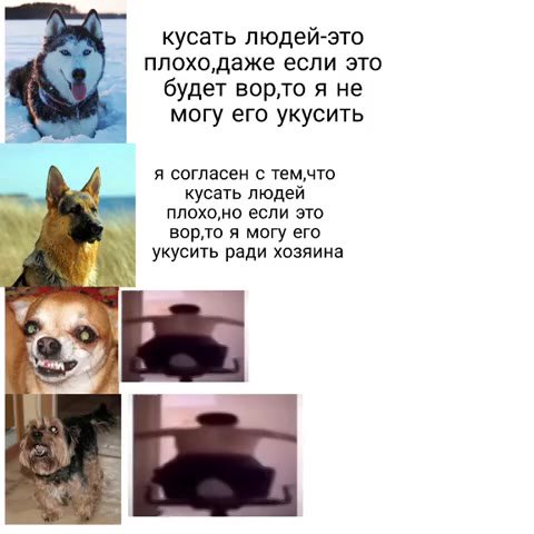 кусать людей-это г _ плохо, даже если это будет ворло я не могу его укусить я согласен с темчто | id Ny ‘укусить ради хозяина wy — — ворто я могу ero