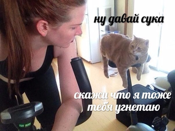 19 a сука ская A