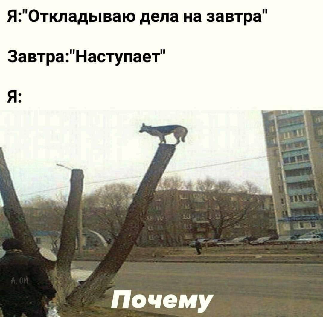 Я:"Откладываю дела на завтра" Завтра:"Наступает" Я: Почему