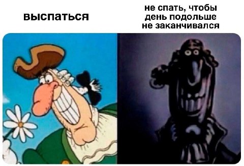 не спать, чтобы выспаться день подольше не заканчивался