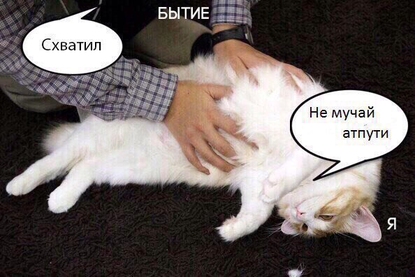 БЫТИЕ Не мучай атпути