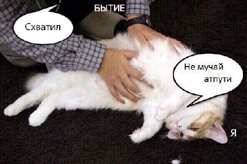 БЫТИЕ Не мучай атпути