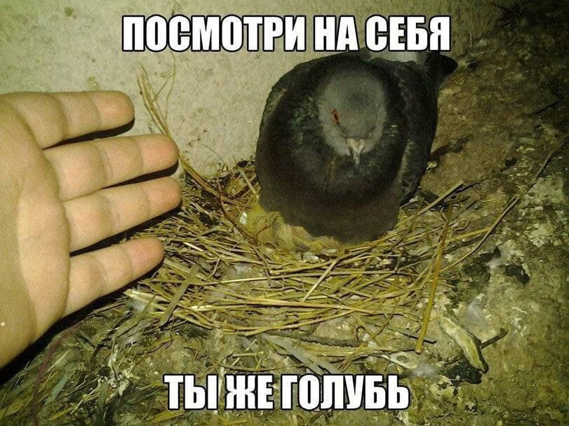 ПОСМОТРИ НА СЕБЯ