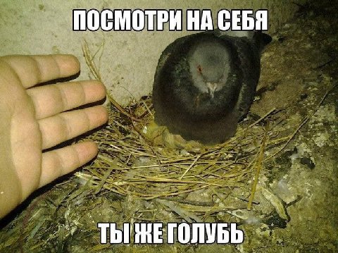 ПОСМОТРИ НА СЕБЯ