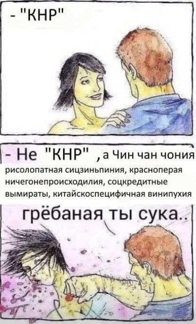 Не "КНР" чан чония рисолопатная сицзиньпиния, красноперая ничегонепроисходилия, соцкредитные вымираты, китайскоспецифичная винипухия гребаная ты сука: A) у Lae 4