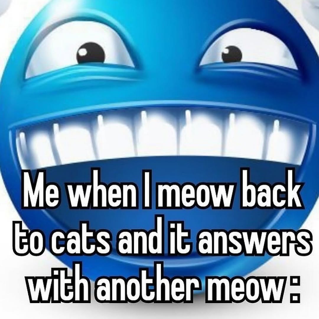 Me м/Пеп meow back