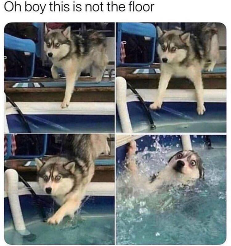 boy this is not the floor