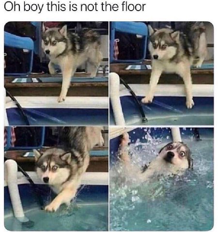 boy this is not the floor