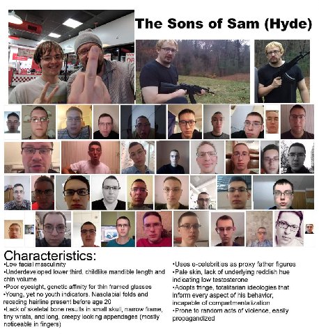 The Sons of Sam (Hyde) Characteristics: facial masculinity e-celebrities as proxy father figures lower third, childlike mandible length and «Рае skin, lack of underlying reddish hue chin volume indica
