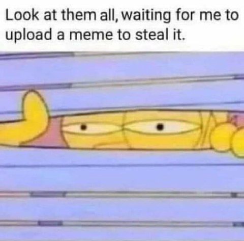 Look at them all, waiting for me to upload a meme to steal it.