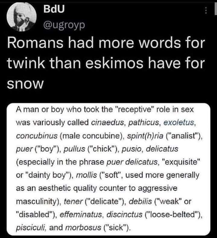 BdU @ugroyp Romans had more words for twink than eskimos have for SNOW Aman or boy who took the role in sex was variously called cinaedus, pathicus, exoletus, concubinus (male concubine), spint(h)ria 