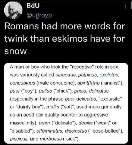 BdU @ugroyp Romans had more words for twink than eskimos have for SNOW Aman or boy who took the role in sex was variously called cinaedus, pathicus, exoletus, concubinus (male concubine), spint(h)ria 