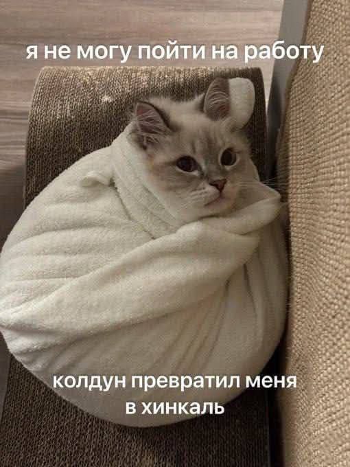 я не могу пойти на работу колдун превратил меня в хинкаль
