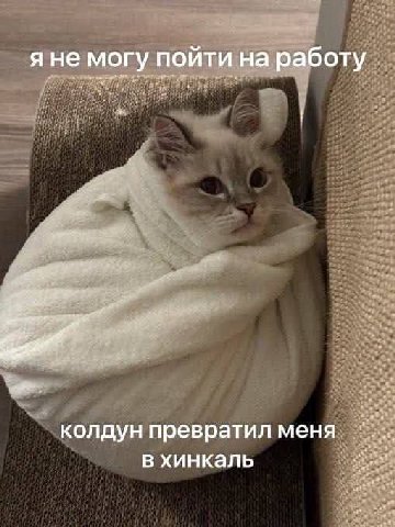 я не могу пойти на работу колдун превратил меня в хинкаль