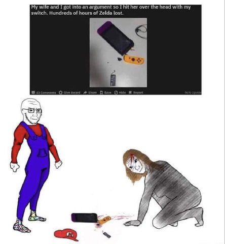 My wite and I got into an argument so I hit her over the head with my switch. Hundreds of hours of Zelda lost. 4