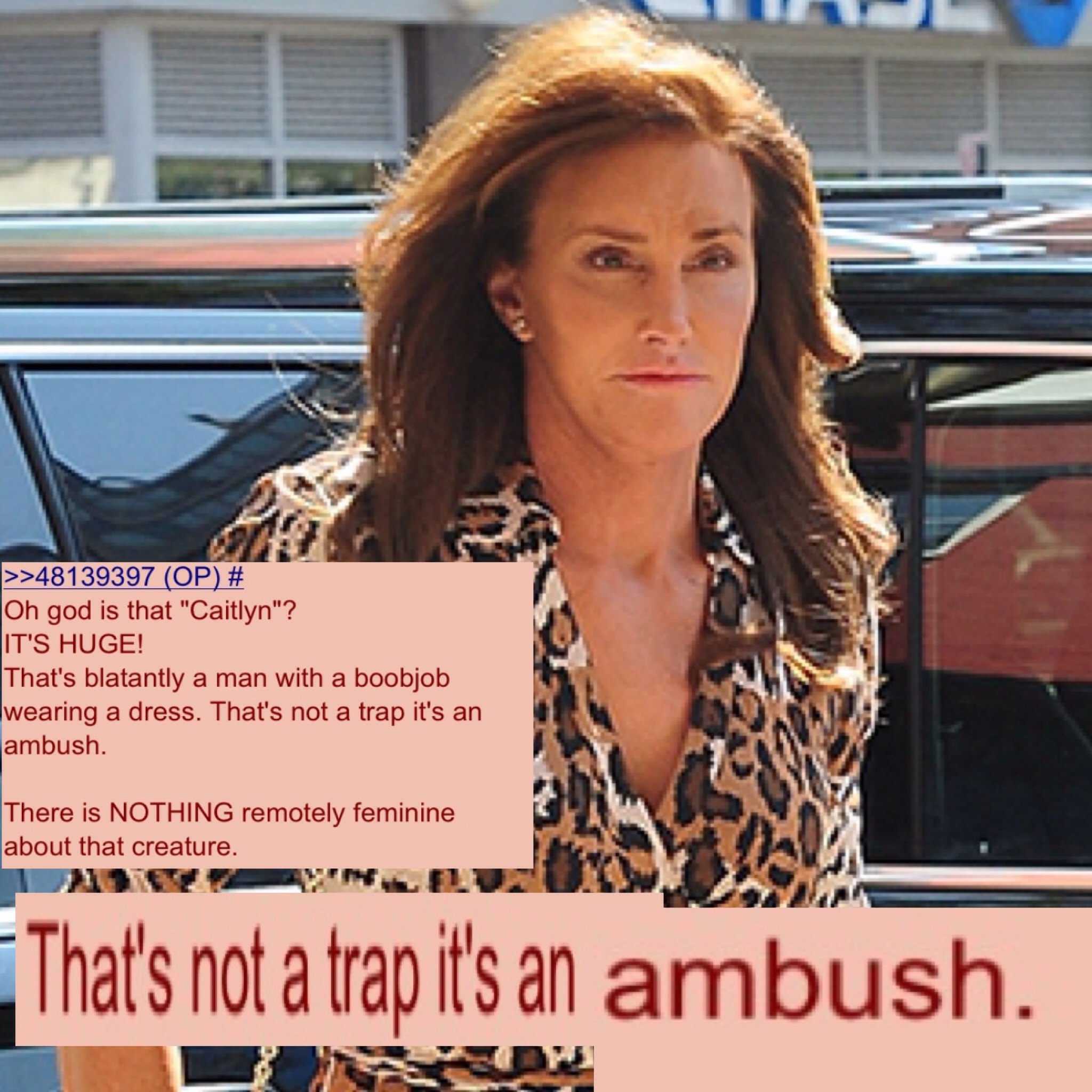 >>48139397 god is that "Caitlyn"? IT'S HUGE! That's blatantly a man with a boobjob wearing a dress. That's not a trap it's an ambush There is NOTHING remotely feminine about that creature А a ambush. 