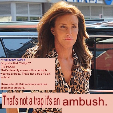 >>48139397 god is that "Caitlyn"? IT'S HUGE! That's blatantly a man with a boobjob wearing a dress. That's not a trap it's an ambush There is NOTHING remotely feminine about that creature А a ambush. 