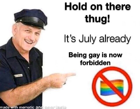 Hold on there thug! It’s July already Being gay is now forbidden mematic an