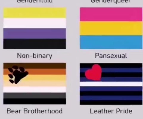 Non-binary Pansexual Bear Brotherhood Leather Pride