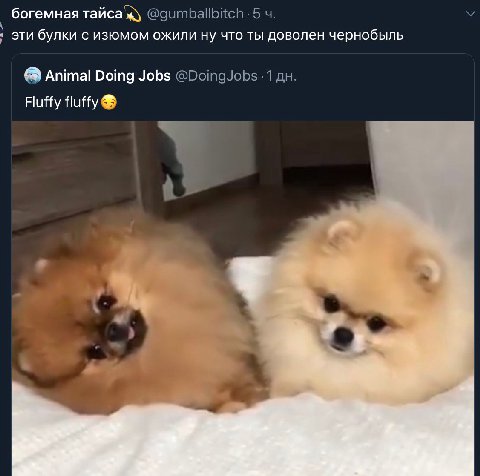 богемная тайса эти булки с изюмом ожили ну что ты доволен чернобыль Animal Doing Jobs Fluffy fluffy
