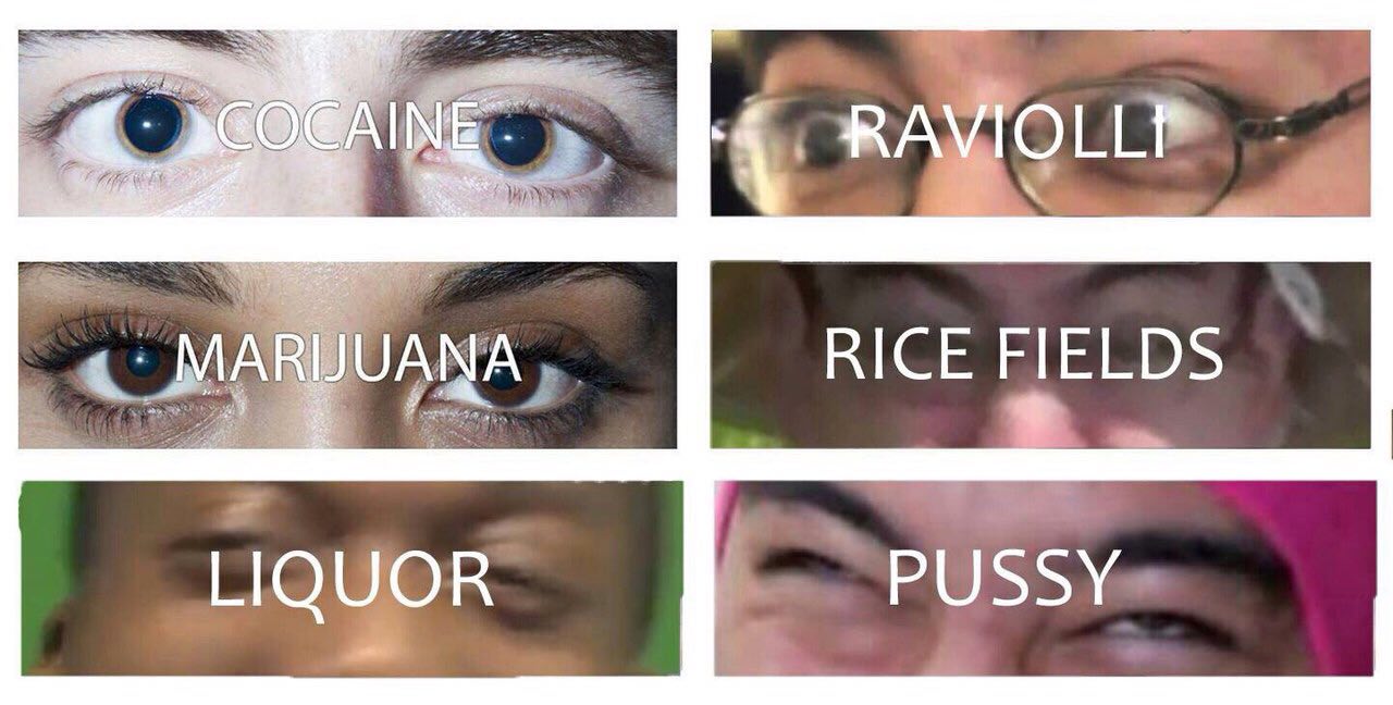 RICE FIELDS LIQUOR PUSSY